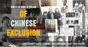 The Chinese Exclusion Act: Unraveling the Name and Its Impact
