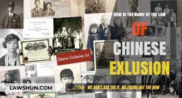 The Chinese Exclusion Act: Unraveling the Name and Its Historical Impact