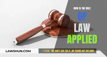 The Rule of Law: Application and Enforcement Explained