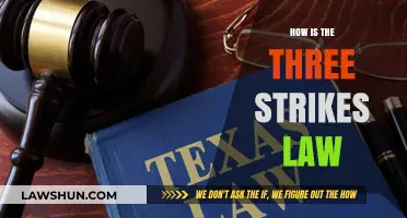Understanding the Impact of the Three Strikes Law on Criminal Justice