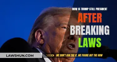 Trump's Law-Breaking: How is He Still President?