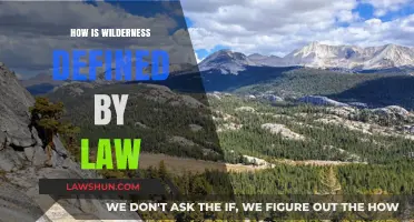 Exploring the Legal Landscape of Wilderness: A Comprehensive Guide