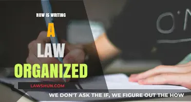 Decoding the Structure: A Guide to Organizing Legal Writing