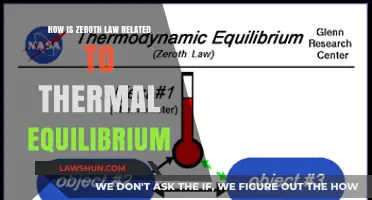 Understanding Thermal Equilibrium: The Zeroth Law's Fundamental Role