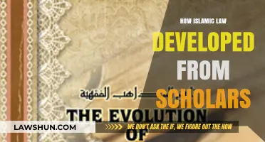 The Evolution of Islamic Law: Insights from Scholarly Traditions