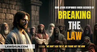 Jesus' Response to Accusations of Law-Breaking