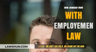 Navigating Employment Law: A Guide to Johnson's Success Story