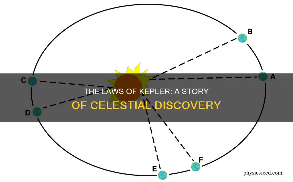 how kepler create his laws
