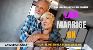 Understanding Common-Law Marriage Requirements and Recognition
