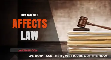 Words Shape Justice: The Impact of Language on Legal Systems