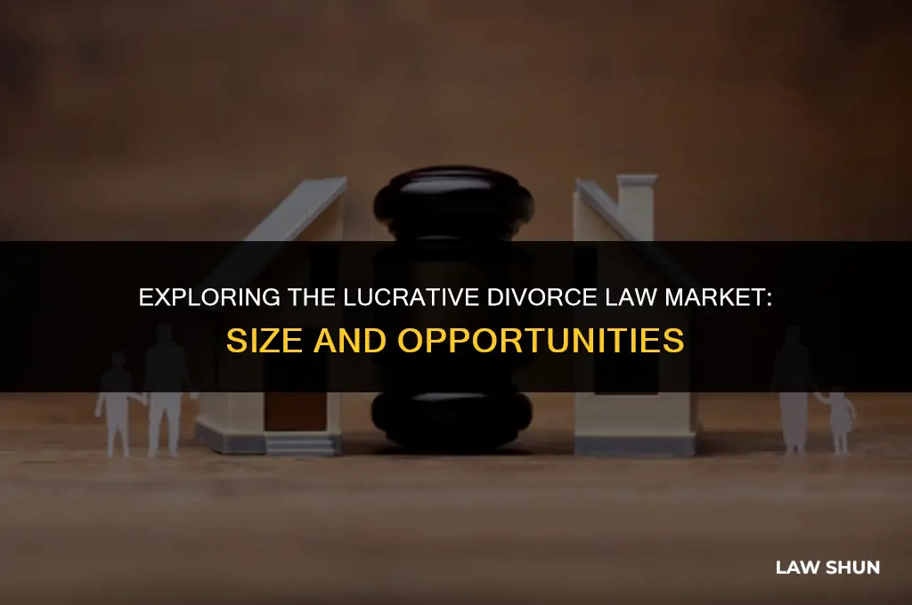 how large is divorce law market