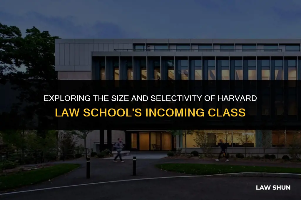 how large is harvard law class
