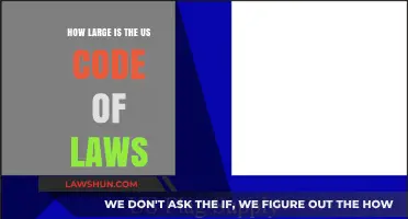 Exploring the Vastness of the US Code of Laws