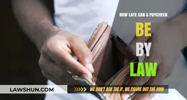 Late Paychecks: Understanding Your Legal Rights