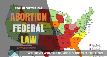 Federal Abortion Laws: Understanding Your Rights and Limits