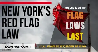 Red Flag Laws: Temporary Fix or Long-Term Solution?