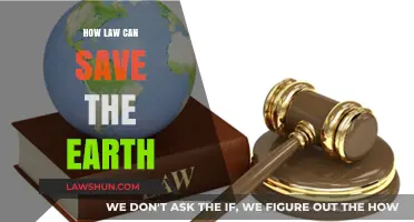 Laws: Our Planet's Last Line of Defense