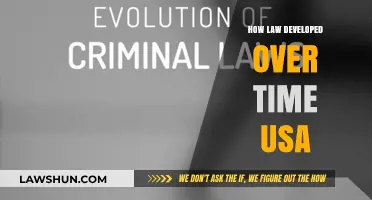Evolution of Justice: Tracing the Development of U.S. Law