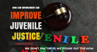 Reforming Juvenile Justice: Strategies for Law Enforcement