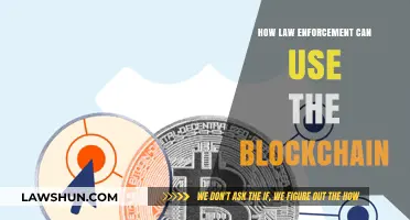 Blockchain for Law Enforcement: Transforming Crime Investigations