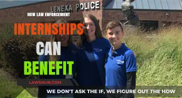 Internships: Your Gateway to a Career in Law Enforcement