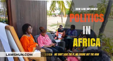 Legal Frameworks Shaping Political Landscapes in Africa
