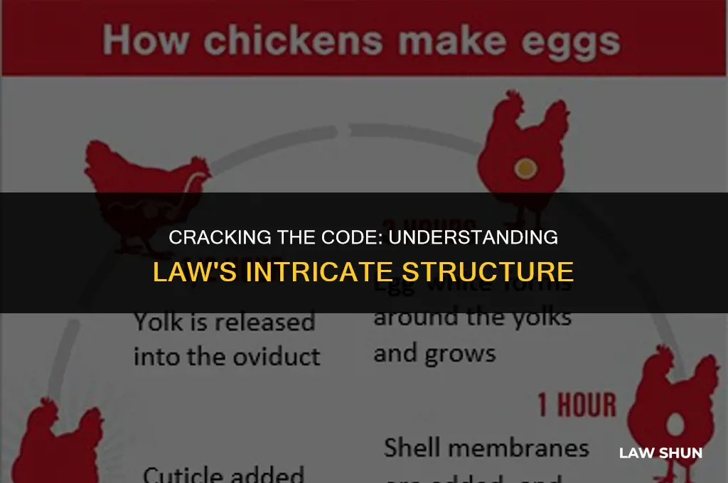 how law looks like an egg