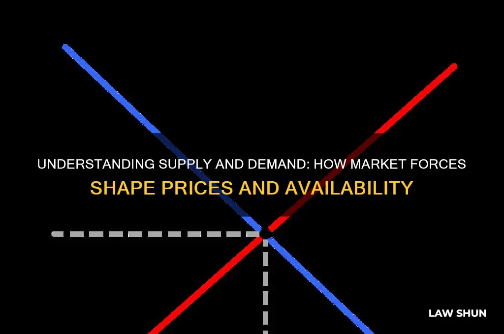 how law of supply and demand relate