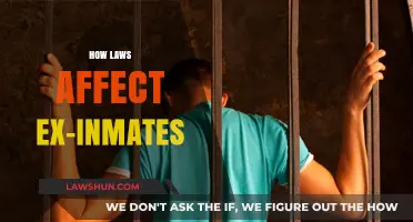 Navigating Freedom: How Laws Shape Ex-Inmates' Reintegration Challenges