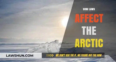 Arctic Legal Landscape: How Laws Shape the Fragile North
