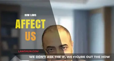 Understanding the Impact: How Laws Shape Our Daily Lives