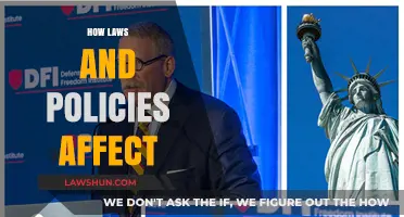How Laws and Policies Shape Society: Impacts and Implications