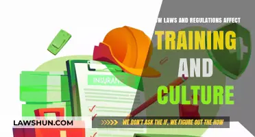 Legal Frameworks Shaping Workplace Training and Organizational Culture Dynamics