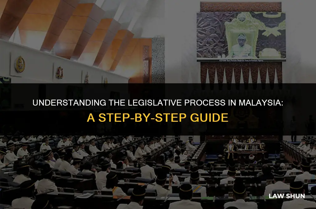 how laws are enacted in malaysia