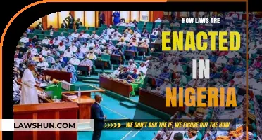 Understanding the Legislative Process in Nigeria: A Comprehensive Guide