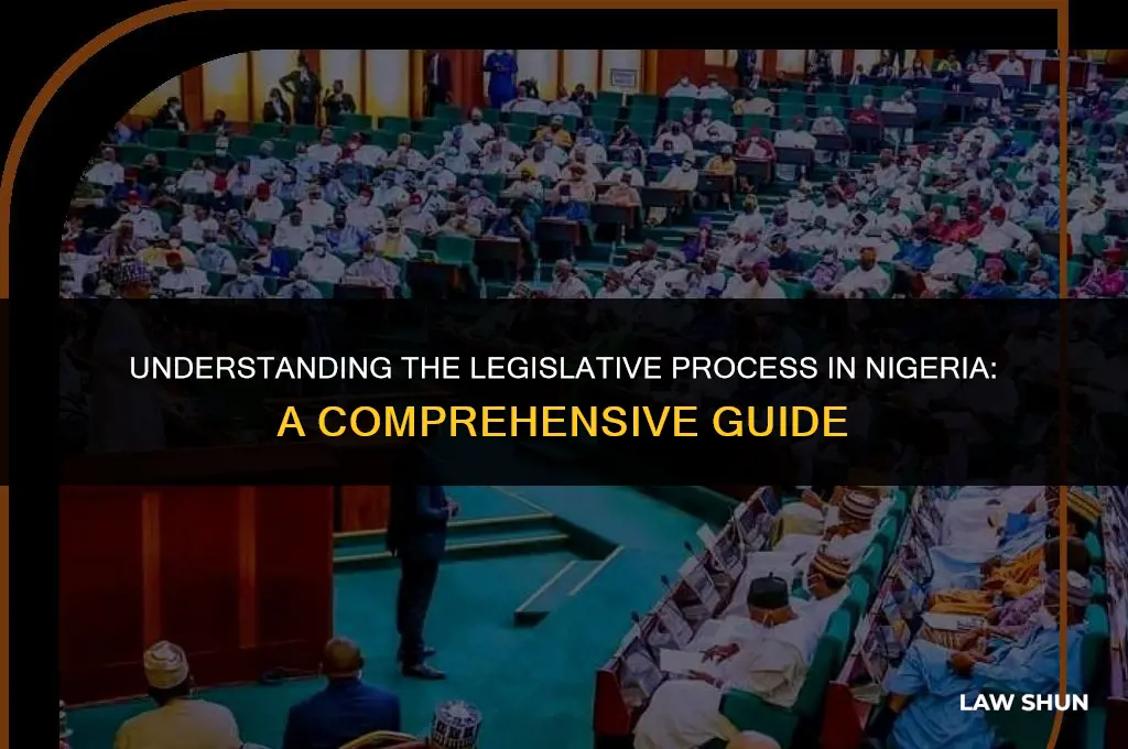 how laws are enacted in nigeria