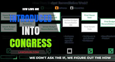 The Legislative Journey: How Laws are Introduced into Congress