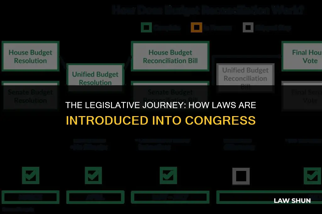 how laws are introduced into congress