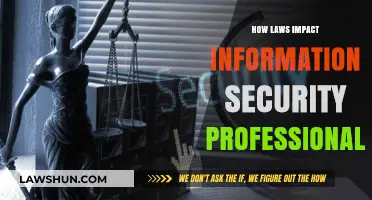 Navigating the Legal Landscape: Information Security Professionals' Guide