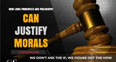 Laws, Principles, and Morality: Justified?