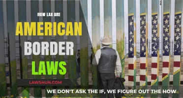 Navigating the Gray Areas: Understanding the Complexity of American Border Laws
