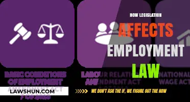 Legislation's Impact: Shaping Employment Law and Workplace Policies