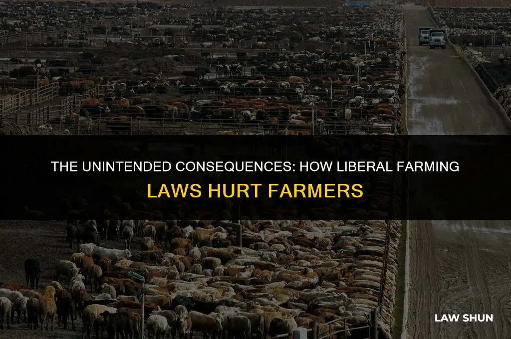 how liberal farming laws hurt farmers