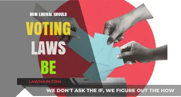 Balancing Accessibility and Integrity: The Liberalization of Voting Laws