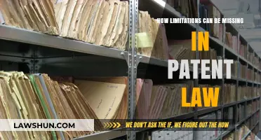 Patent Law: Limitations and Their Absence