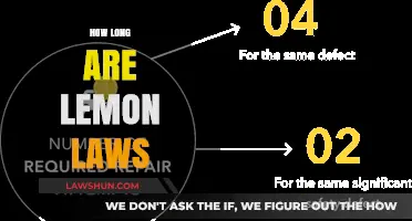 Understanding Lemon Laws: Duration and Consumer Protection Explained