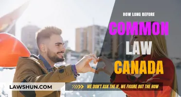 Understanding Common-Law Relationships in Canada: Time Frames Explained