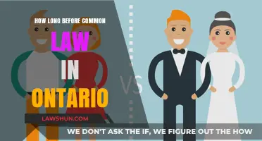 Understanding Ontario's Common-Law Relationships: Time Requirements