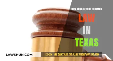 Understanding Texas Common Law Marriage Requirements