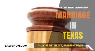 Understanding Texas Common Law Marriage Requirements